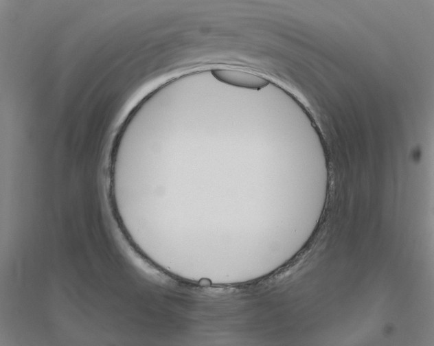 X0000116821523201001291611