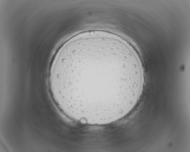 X0000116821525201001291611