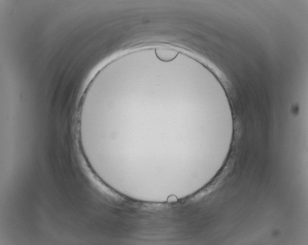 X0000116821526201001291611