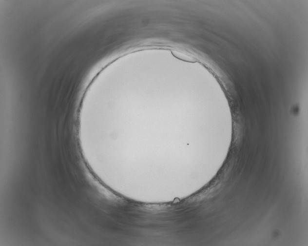 X0000116821527201001291611