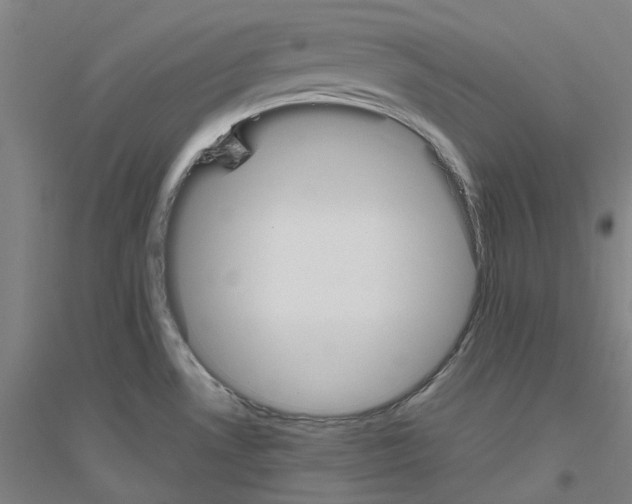 X0000116821530201001291611