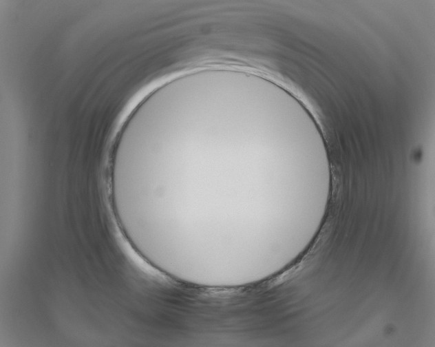 X0000116821531201001291611