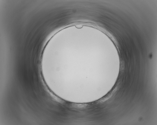 X0000116821533201001291611