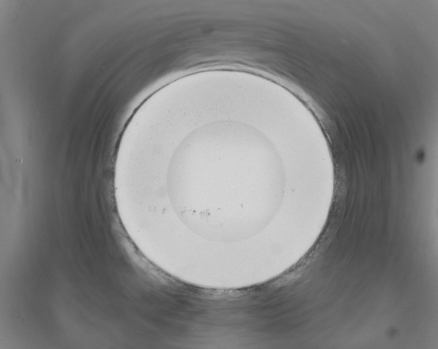 X0000116821534201001291611