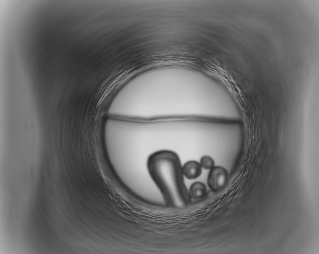 X0000116830001200912181104