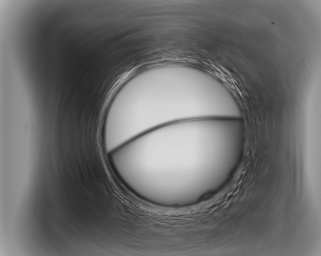 X0000116830003200912181103