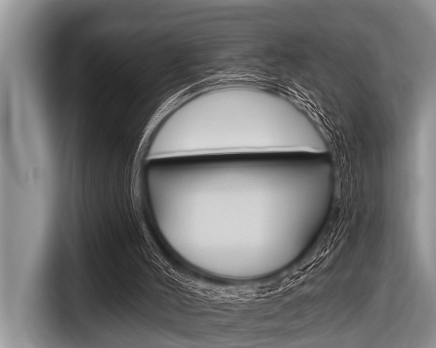 X0000116830004200912181103