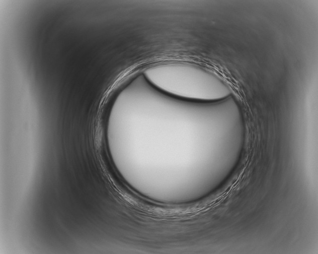 X0000116830005200912181103
