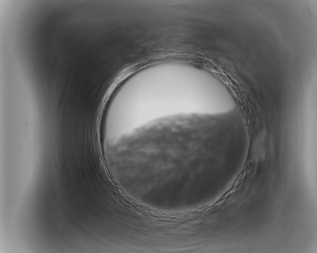 X0000116830006200912181103