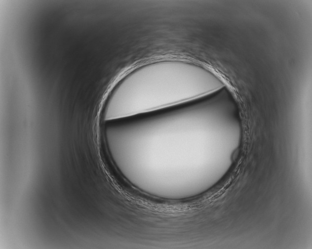 X0000116830008200912181103