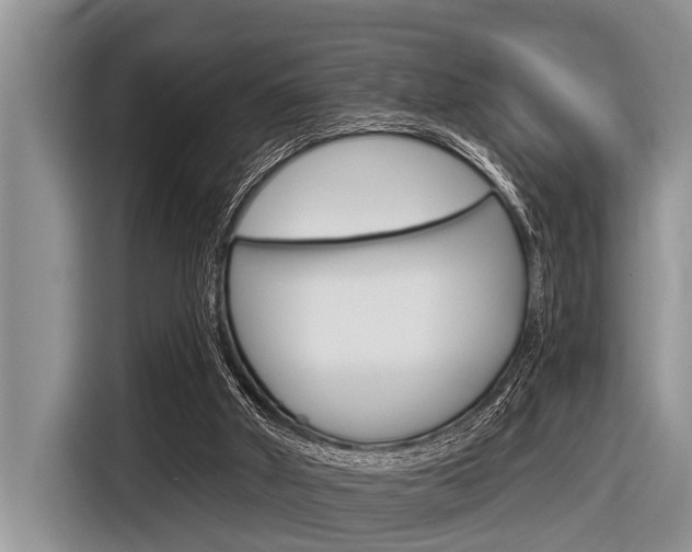 X0000116830010200912181103