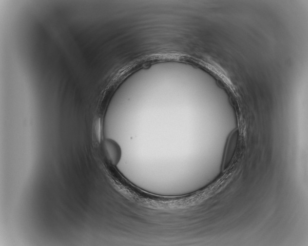 X0000116830013200912181103