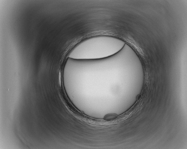 X0000116830014200912181103