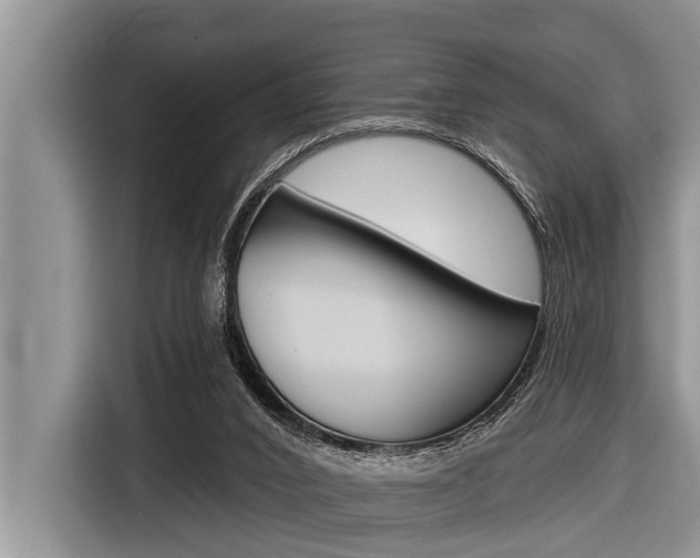 X0000116830016200912181103