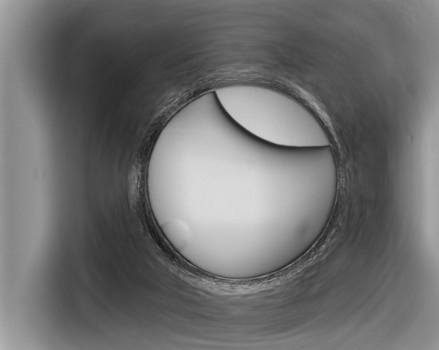 X0000116830018200912181103
