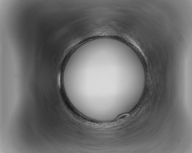 X0000116830019200912181103