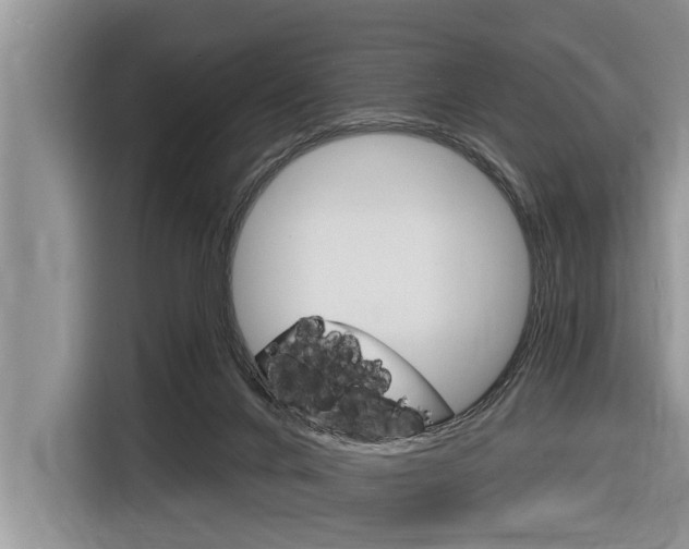 X0000116830024200912181103