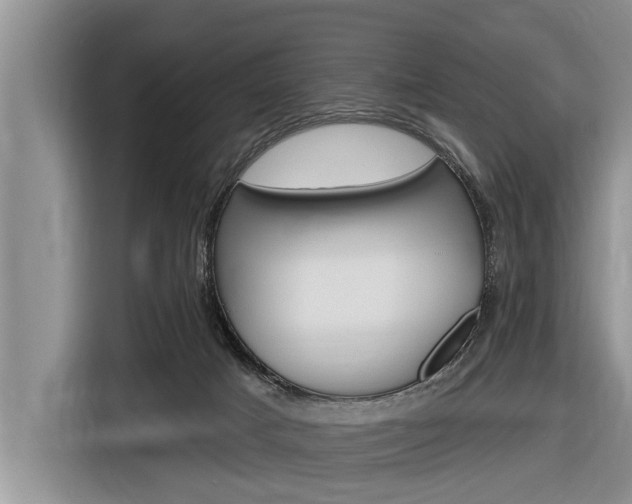 X0000116830025200912181103