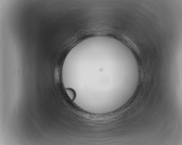 X0000116830026200912181103