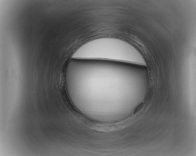 X0000116830029200912181103