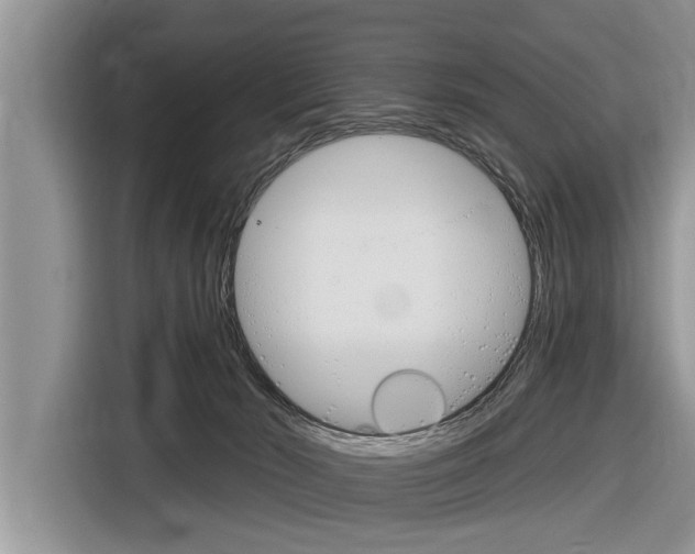 X0000116830030200912181103
