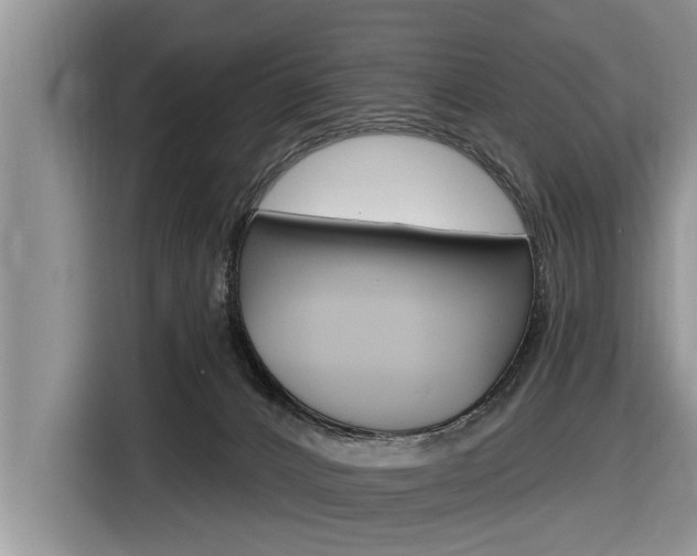 X0000116830032200912181103