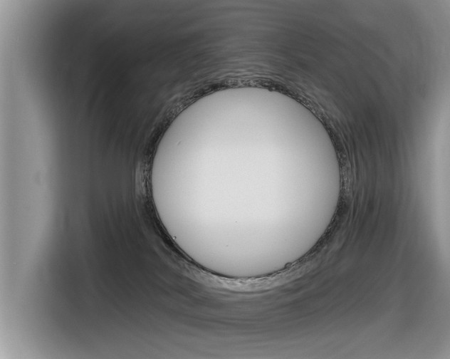 X0000116830038200912181103
