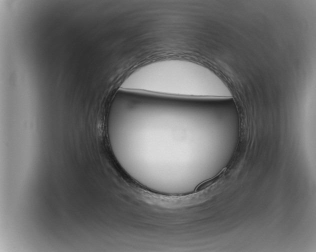X0000116830039200912181103