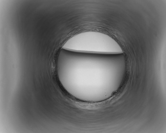 X0000116830040200912181103