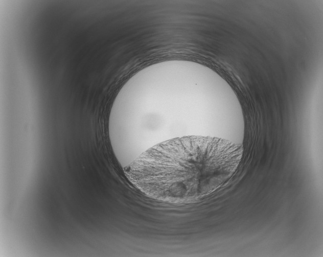 X0000116830044200912181103