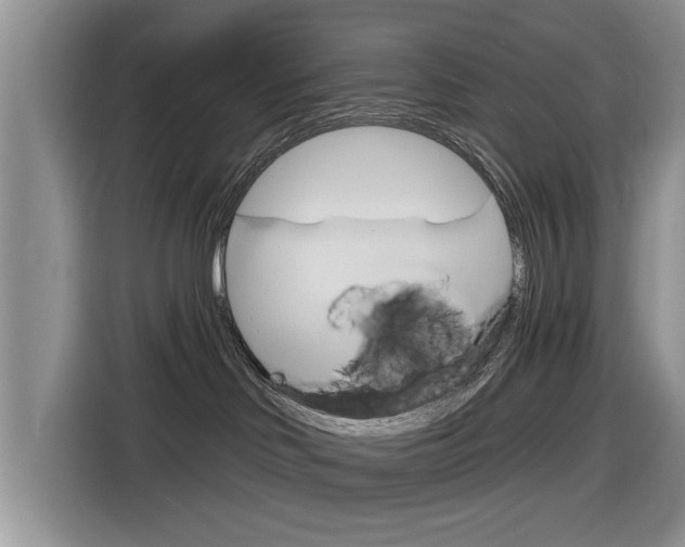 X0000116830046200912181103