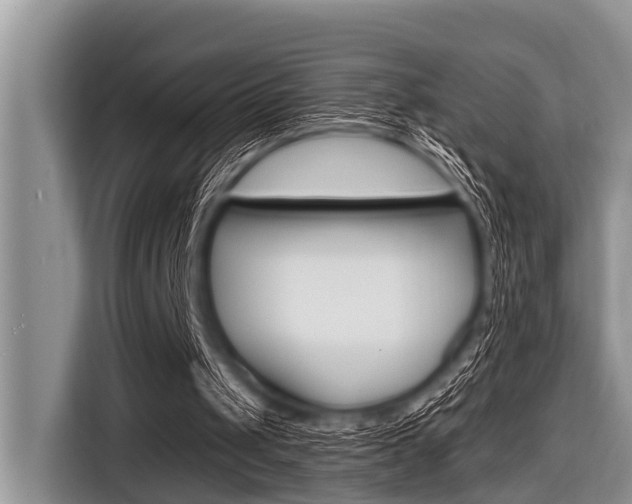 X0000116830049200912181102