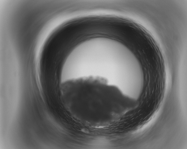 X0000116830050200912181102