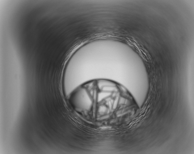 X0000116830052200912181102
