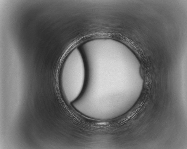 X0000116830053200912181102