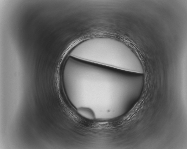 X0000116830054200912181102