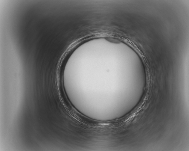 X0000116830055200912181102