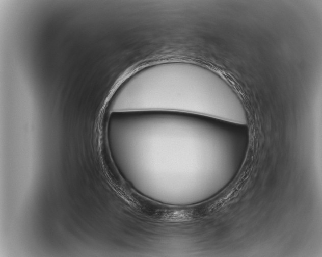 X0000116830056200912181102