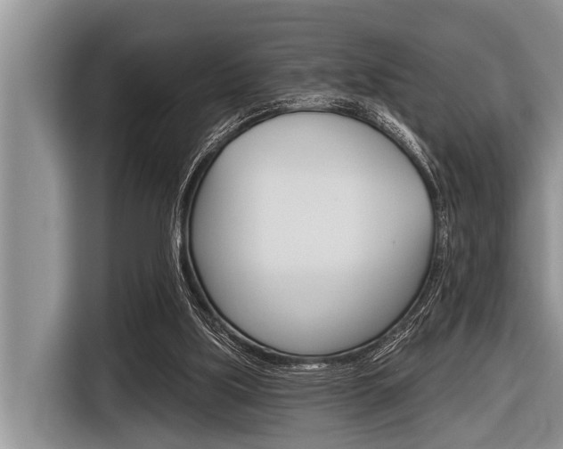 X0000116830059200912181102