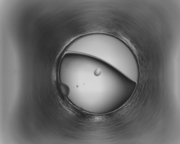 X0000116830060200912181102