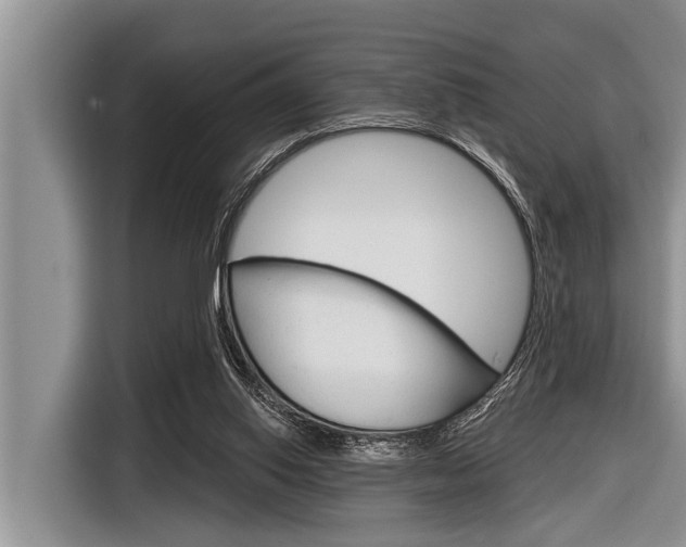 X0000116830062200912181102