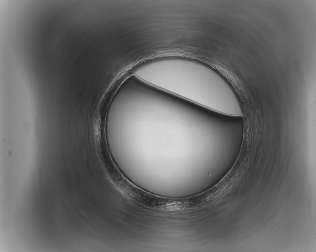 X0000116830064200912181102