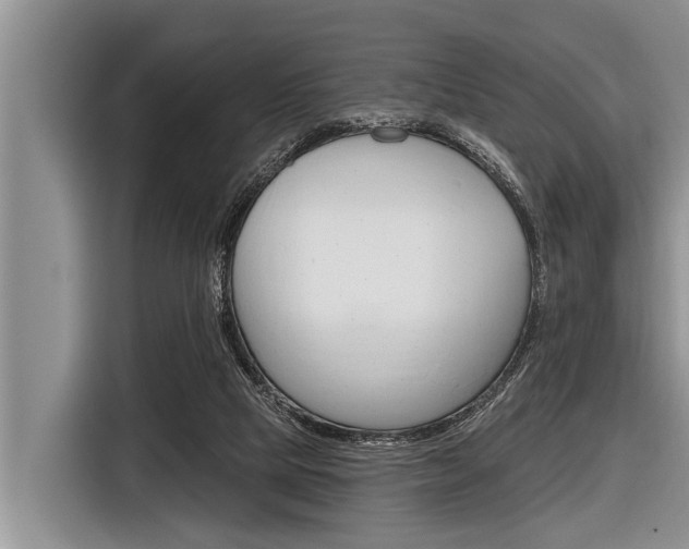 X0000116830065200912181102