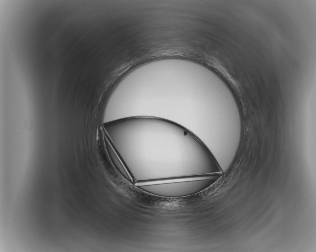 X0000116830068200912181102