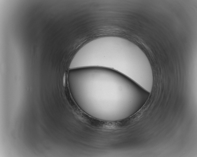 X0000116830076200912181103