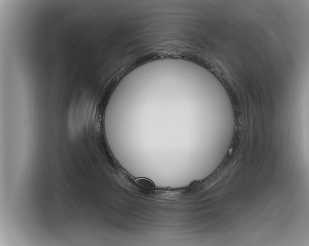 X0000116830081200912181103