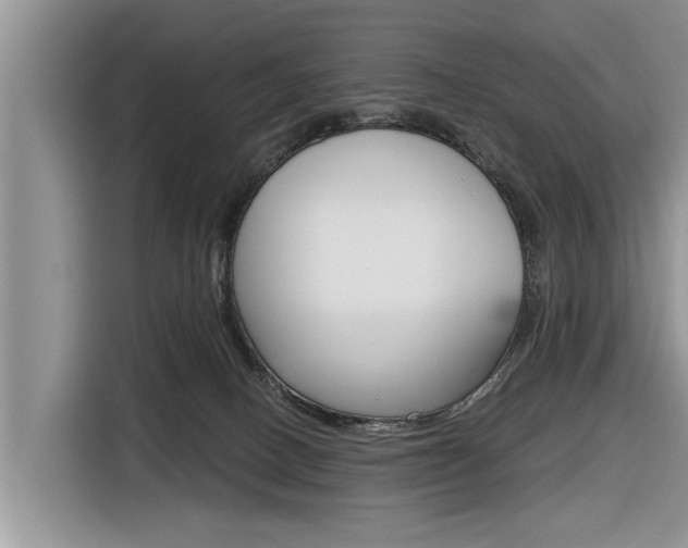 X0000116830082200912181103