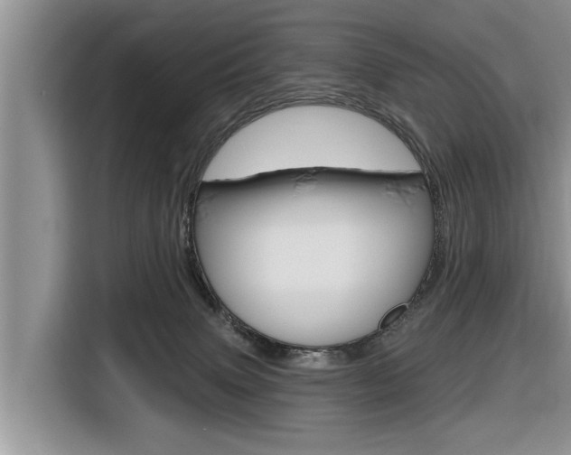 X0000116830083200912181103