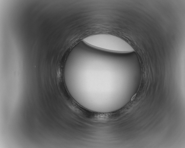 X0000116830084200912181103