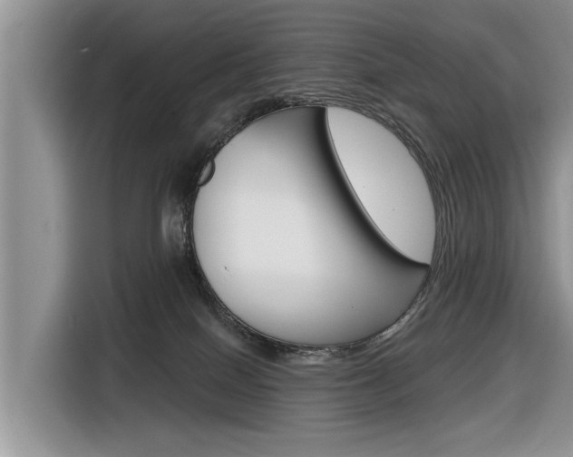 X0000116830086200912181103